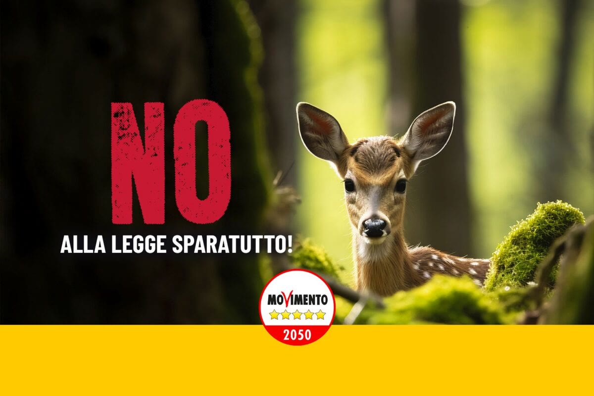 No alla legge sparatutto