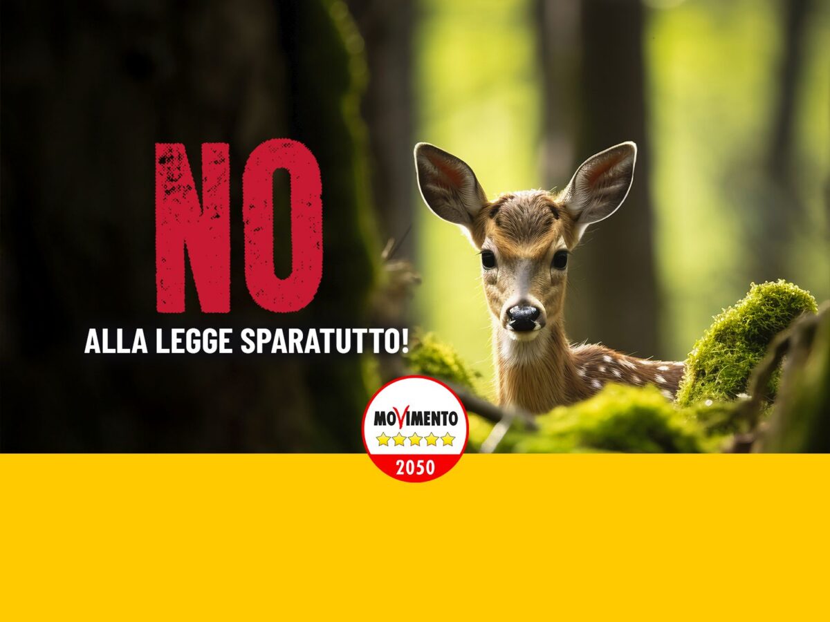 Un cerbiatto nel bosco con la scritta «No alla legge sparatutto!» e il bollino del MoVimento 5 Stelle